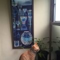 玄関をおしゃれに飾る手ぬぐい額★季節感あふれる素敵な手ぬぐいがたくさん！