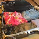 子供の海外留学◆日本からのお土産わが家の場合